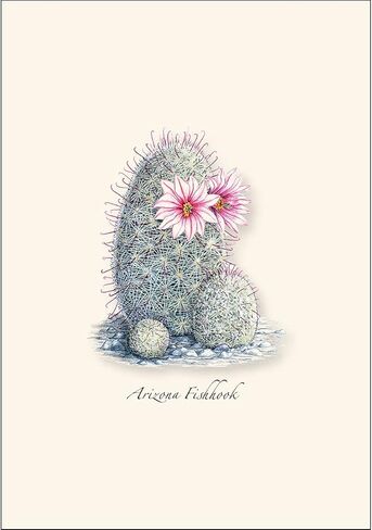 Earth Sky + Water - Cacti Notecard Set I - 8 Blank Cards with Envelopes in Saudi Arabia