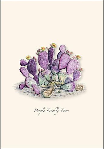 Earth Sky + Water - Cacti Notecard Set I - 8 Blank Cards with Envelopes in Saudi Arabia