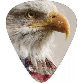 Happy saint patrick's day Classic Guitar Picks Dulcimer Pick 12-Pack in Kuwait