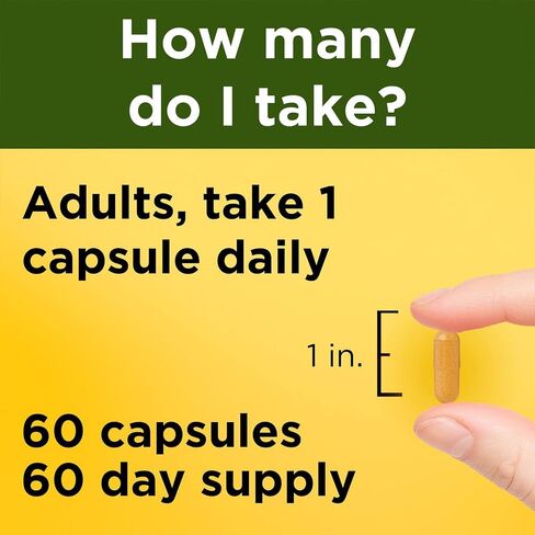 Turmeric 500 mg Capsules, 60 Count for Antioxidant Support in Saudi Arabia