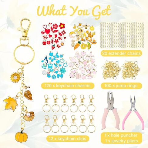 PYURTHITY 254 Pcs Lip Gloss Keychain Making Kit, Charm Jewelry Chain Making Crafts Including 120 Charms 12 Keychain Clips 20 Extender Chains 100 Jump Rings Jewelry Plier and Puncher for DIY Crafts in Saudi Arabia