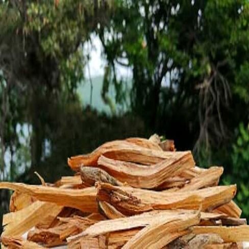 Palo Santo Fragrance Oil (8 oz Bottle) for Candle Making, Soap Making, Tart Making, Room Sprays, Lotions, Car Fresheners, Slime, Bath Bombs, Warmers… in Saudi Arabia
