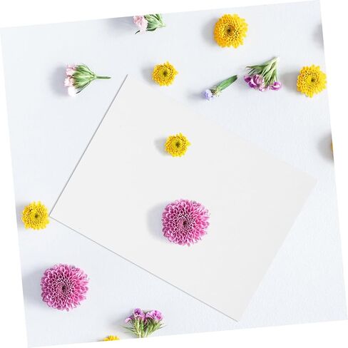 4pcs Flower Press Absorbent Blotting Paper for DIY Floral Art Specimen Boards Dried Flower Craft Projects Durable Versatile in Saudi Arabia