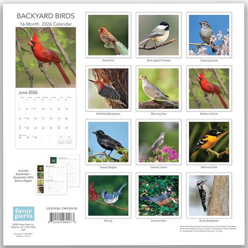 2024 Backyard Birds Hangable Wall Calendar Monthly - 12" x 24" Open - North America Beautiful Wildlife Majestic Bird Photo Gift - Forest Birds Nature Photography - Secret Santa Office Gifting for Him Her- Including Cardinal Blue Jay Oriole Sturdy Thick La in Kuwait