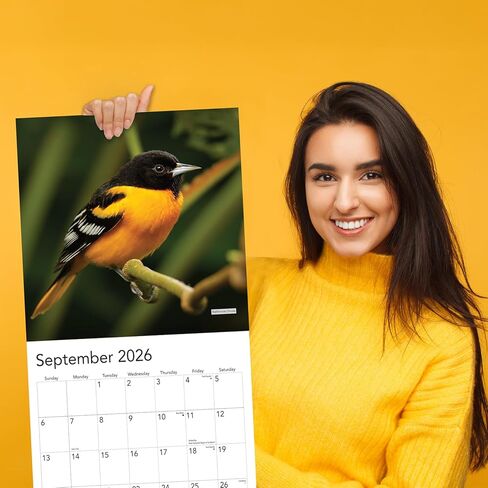 2024 Backyard Birds Hangable Wall Calendar Monthly - 12" x 24" Open - North America Beautiful Wildlife Majestic Bird Photo Gift - Forest Birds Nature Photography - Secret Santa Office Gifting for Him Her- Including Cardinal Blue Jay Oriole Sturdy Thick La in Kuwait