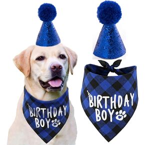 JPB Dog Birthday Party Supplies,Pet Birthday Hat and Boy Doggy Birthday Bandana Set