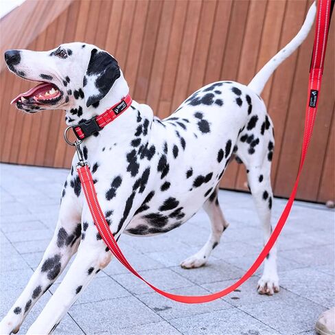 مقود تدريب الكلاب الممتاز من النايلون القوي والمتين، حبل جر بطول 4 أقدام وعرض 3/4 بوصة مع مقبض للكلاب الصغيرة (أحمر) in Kuwait