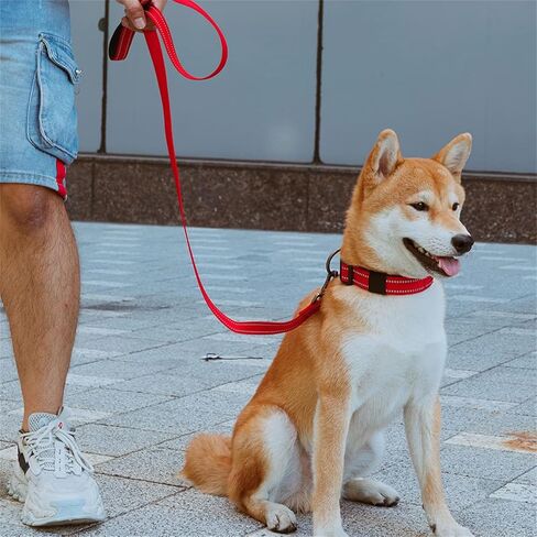 مقود تدريب الكلاب الممتاز من النايلون القوي والمتين، حبل جر بطول 4 أقدام وعرض 3/4 بوصة مع مقبض للكلاب الصغيرة (أحمر) in Kuwait