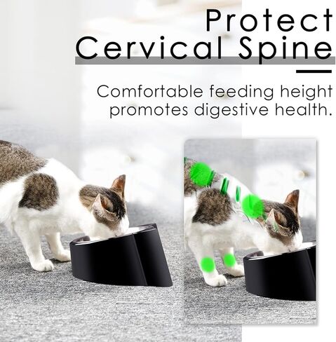 CATPRO أوعية طعام القطط المائلة، وعاء تغذية القطط المائل 15 درجة، وعاء لتقويم العظام للقطط مضاد للقيء ومضاد للانسكاب، وعاء طعام مرتفع للقطط مصنوع من الفولاذ المقاوم للصدأ بزاوية مائلة، رمادي in Kuwait