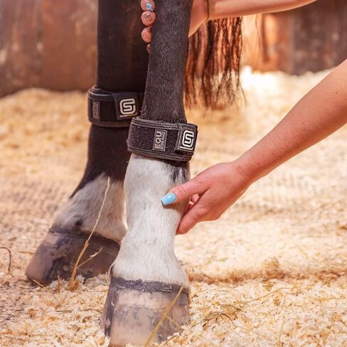 EQU Streamz Advanced Magnetic Horse Bands (Pair) | Full Body Coverage | Creates no Heat, Suitable for 24x7 use | Suitable for Fetlocks & Hocks in Saudi Arabia