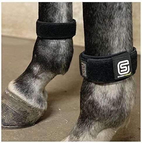 EQU Streamz Advanced Magnetic Horse Bands (Pair) | Full Body Coverage | Creates no Heat, Suitable for 24x7 use | Suitable for Fetlocks & Hocks in Saudi Arabia