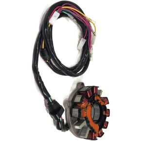 قطعة غيار للجزء الثابت Magneto لعام 2011 تناسب جنبًا إلى جنب ATV R11Xh76Aw-Az-Xy76Aa B1RO-p19910 in Kuwait