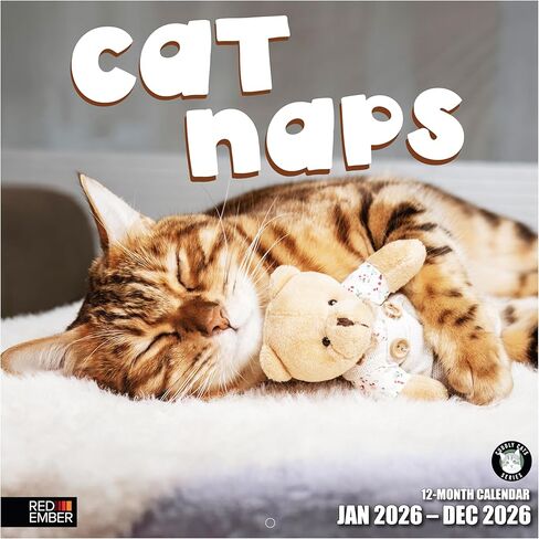 RED EMBER Cat Naps 2026 Wall Calendar 12 Month | 12" x 24" Open | Thick & Sturdy Paper | Holiday Gift | Cute Funny Kitten Cat Calendar 2026 in Saudi Arabia