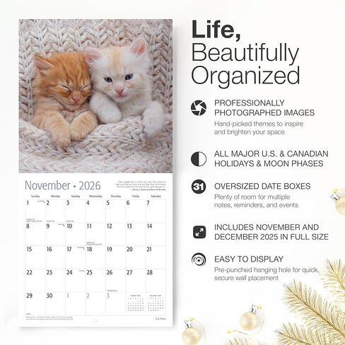 RED EMBER Cat Naps 2026 Wall Calendar 12 Month | 12" x 24" Open | Thick & Sturdy Paper | Holiday Gift | Cute Funny Kitten Cat Calendar 2026 in Saudi Arabia