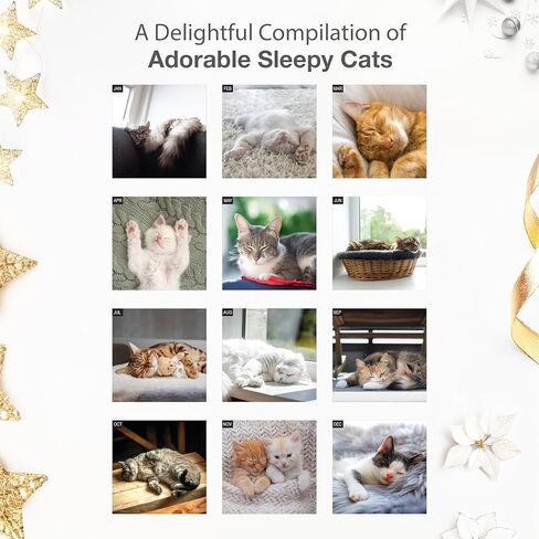 RED EMBER Cat Naps 2026 Wall Calendar 12 Month | 12" x 24" Open | Thick & Sturdy Paper | Holiday Gift | Cute Funny Kitten Cat Calendar 2026 in Saudi Arabia
