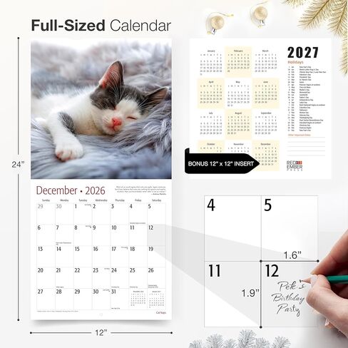 RED EMBER Cat Naps 2026 Wall Calendar 12 Month | 12" x 24" Open | Thick & Sturdy Paper | Holiday Gift | Cute Funny Kitten Cat Calendar 2026 in Saudi Arabia