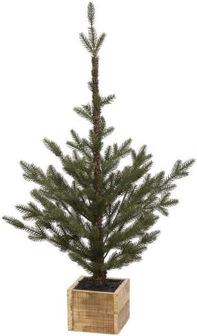2020 Pinetree in Box, Small, 36 inches in Saudi Arabia