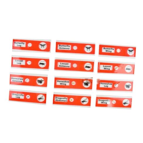 Gatuida Kids Microscope Accessories 12pcs Plastic Slides Prepared Specimens Set in Saudi Arabia