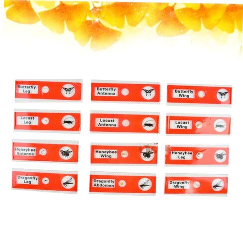 Gatuida Kids Microscope Accessories 12pcs Plastic Slides Prepared Specimens Set in Saudi Arabia