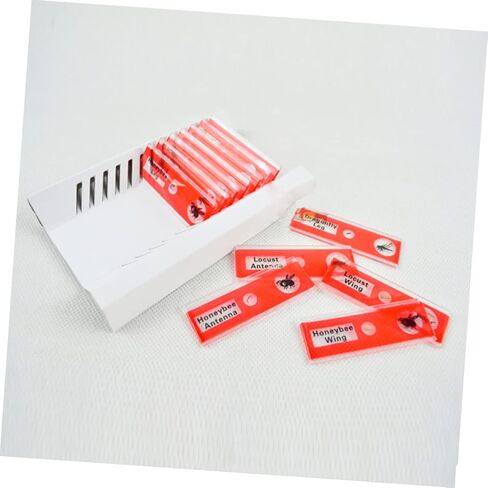 Gatuida Kids Microscope Accessories 12pcs Plastic Slides Prepared Specimens Set in Saudi Arabia