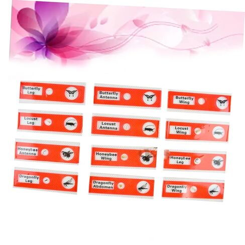 Gatuida Kids Microscope Accessories 12pcs Plastic Slides Prepared Specimens Set in Saudi Arabia