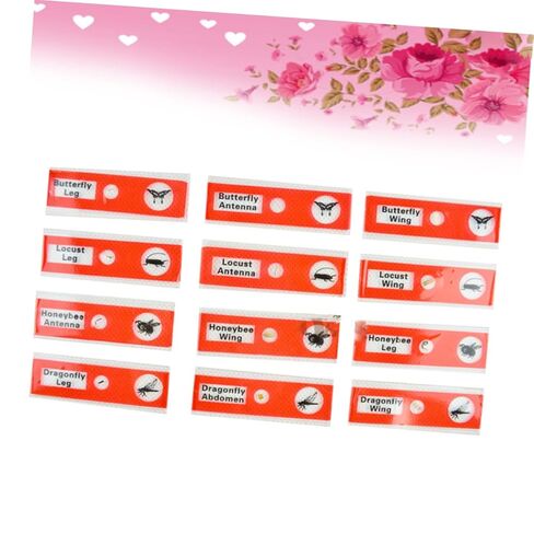 Gatuida Kids Microscope Accessories 12pcs Plastic Slides Prepared Specimens Set in Saudi Arabia