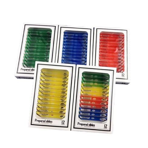 Gatuida Kids Microscope Accessories 12pcs Plastic Slides Prepared Specimens Set in Saudi Arabia