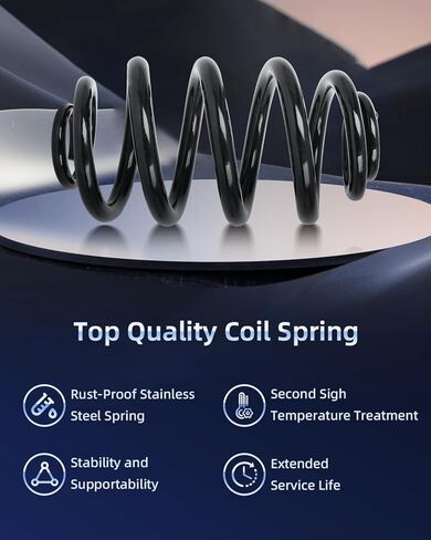 ECCPP Coil Springs Suspension Coil Spring Set for 2004-2010 for BMW X3 Coil Springs for RJ6641 2PCS Rear Coil Springs in Saudi Arabia