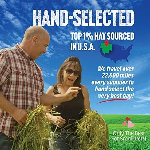 Small Pet Select 2nd Cutting Perfect Blend Timothy Hay Pet Food for Rabbits, Guinea Pigs, Chinchillas and Other Small Animals, Premium Natural Hay Grown in The US, 20 LB in Kuwait