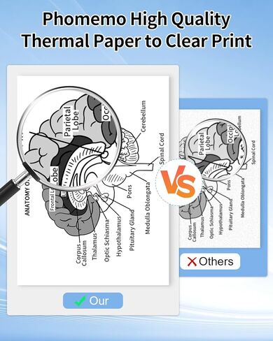 Phomemo Quick-Dry US Letter Size 8.5 x 11 Inch Thermal Printer Paper Rolls, Thermal Paper for M08F-Letter Portable Printer, for Picture, Business, Homework, 2 Rolls in Saudi Arabia