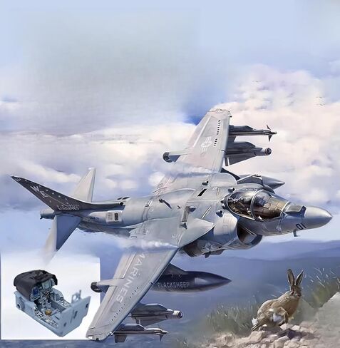 نموذج 1/48 مقياس US D1001 AV-8B Harrier II Plus طقم نماذج طائرة هجومية in Saudi Arabia