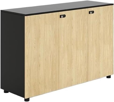 File Cabinet Low Cabinet Conference Room Pantry Office Office Cabinet File Cabinet with Lock Office Storage Cabinet in Saudi Arabia