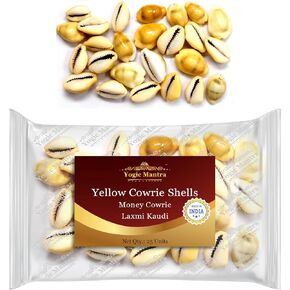 Yogic Mantra Yellow Cowrie Shells (25 Pcs Mix Size Bag) Money Cowrie Shells, Kawdi for Laxmi Puja, Hindu Lakshmi Pooja Kawdi, Monetaria Monta Sea Shells Shellcraft Cypraea for Jewelry Making Art Craft