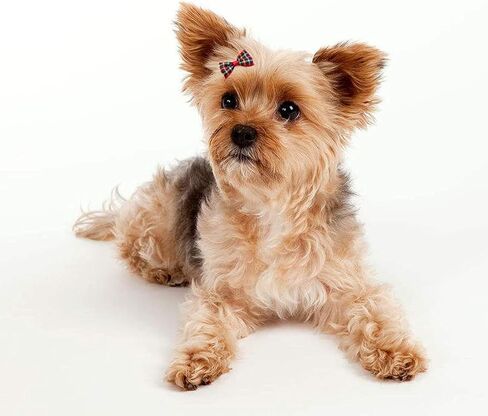 مشبك شعر للكلاب بنمط منقوش كلاسيكي من KADBLE، فيونكات شعر للقطط مع مشابك، 12 قطعة/6 أزواج in Kuwait