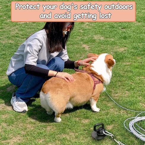 كابل ربط الكلاب بطول 30 قدم من NEECONG، حصة كلب شديدة التحمل لساحة حديقة الشاطئ بالخارج مع شفرة حلزونية مزدوجة، أقوى مرساة للكلاب تحمل أكثر من 120 رطلًا (مع فرشاة، وحقيبة تخزين) in Kuwait