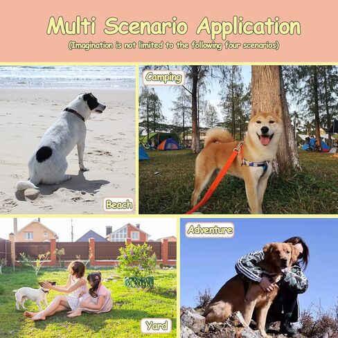 كابل ربط الكلاب بطول 30 قدم من NEECONG، حصة كلب شديدة التحمل لساحة حديقة الشاطئ بالخارج مع شفرة حلزونية مزدوجة، أقوى مرساة للكلاب تحمل أكثر من 120 رطلًا (مع فرشاة، وحقيبة تخزين) in Kuwait