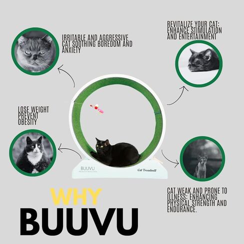 عجلة الجري Buuvu Cat - تصميم صامت، سهلة التركيب - جهاز سير داخلي متين للقطط للياقة البدنية والصحة مع لعبة وسجادات مضادة للانزلاق - حجم كبير، رمادي، 31.5 in Kuwait