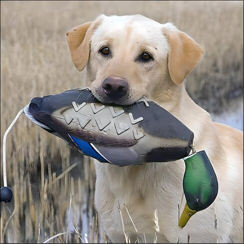 fingig 2 Pcs Duck Dummy Bumper Toys for Hunting Retriever Dog Training, Dog Retriever Outdoor Training Toy ，Hunting Duck Recognition Trainers, Foam Pet Interactive Toys in Kuwait