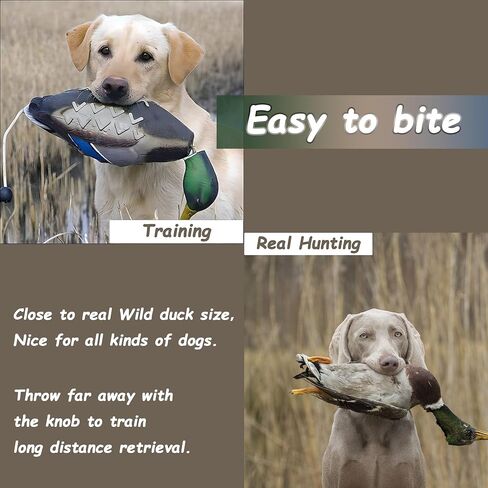 fingig 2 Pcs Duck Dummy Bumper Toys for Hunting Retriever Dog Training, Dog Retriever Outdoor Training Toy ，Hunting Duck Recognition Trainers, Foam Pet Interactive Toys in Kuwait