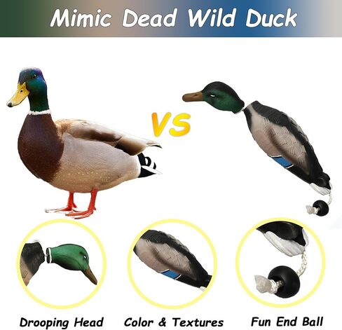 fingig 2 Pcs Duck Dummy Bumper Toys for Hunting Retriever Dog Training, Dog Retriever Outdoor Training Toy ，Hunting Duck Recognition Trainers, Foam Pet Interactive Toys in Kuwait