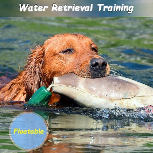 fingig 2 Pcs Duck Dummy Bumper Toys for Hunting Retriever Dog Training, Dog Retriever Outdoor Training Toy ，Hunting Duck Recognition Trainers, Foam Pet Interactive Toys in Kuwait