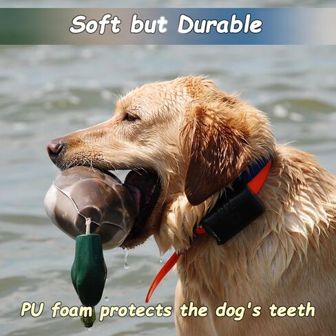 fingig 2 Pcs Duck Dummy Bumper Toys for Hunting Retriever Dog Training, Dog Retriever Outdoor Training Toy ，Hunting Duck Recognition Trainers, Foam Pet Interactive Toys in Kuwait