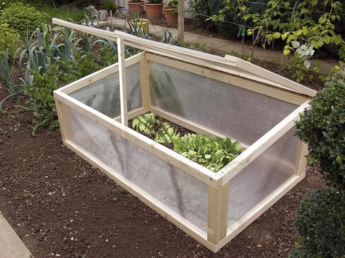 Falken Design Falkenacrylic-MW-CL-6MM/2424 Mw-CL-6mm/2424 ورق بولي كربونات متعدد الجدران، غطاء دفيئة، 6 مم (0.236 بوصة) 24 بوصة × 24 بوصة - شفاف، بولي كربونات in Kuwait