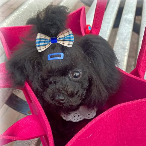 مشابك شعر الكلاب من بينسيو، أقواس شعر الحيوانات الأليفة، 6 قطع/3 أزواج من مشابك شعر الكلاب للقطط والكلاب، 100 شريط مطاطي، صندوق تخزين مشابك شعر الجرو (نقاط) in Kuwait