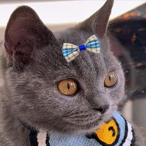 مشابك شعر الكلاب من بينسيو، أقواس شعر الحيوانات الأليفة، 6 قطع/3 أزواج من مشابك شعر الكلاب للقطط والكلاب، 100 شريط مطاطي، صندوق تخزين مشابك شعر الجرو (نقاط) in Kuwait