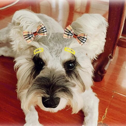 مشابك شعر الكلاب من بينسيو، أقواس شعر الحيوانات الأليفة، 6 قطع/3 أزواج من مشابك شعر الكلاب للقطط والكلاب، 100 شريط مطاطي، صندوق تخزين مشابك شعر الجرو (نقاط) in Kuwait