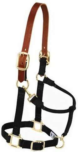 Weaver Leather Nylon Adjustable Breakaway Horse Halter, Large, Black in Saudi Arabia