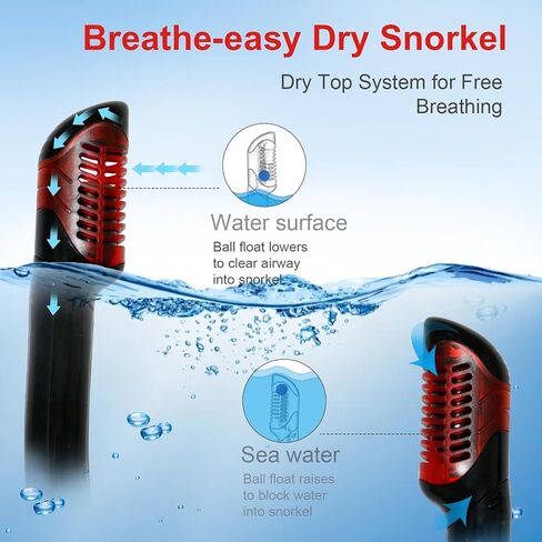AosDero Snorkeling Gear for Adult Men Women, HD Diving Mask, Foldable Dry Top Snorkel for Snorkeling Diving Swimming Travel in Saudi Arabia