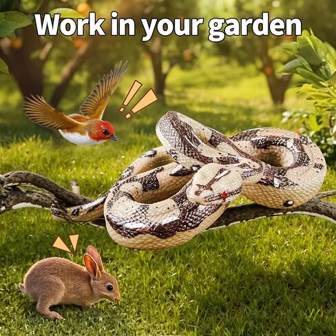 6PCS Spiders Figurines Animal Toys, Prank Toy for Kids, Safari Animal Toys for Toddlers, Educational Preschool Toy Birthday Gift for Boys Girls, and Kids in Kuwait