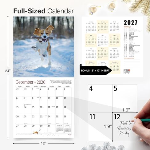 Beagles 2024 Hangable Monthly Wall Calendar by Red Ember Select Series | 12" x 24" Open | Thick & Sturdy Paper | Giftable | Cute Hunting Dog | Get Ready for Cuteness Overload in Kuwait